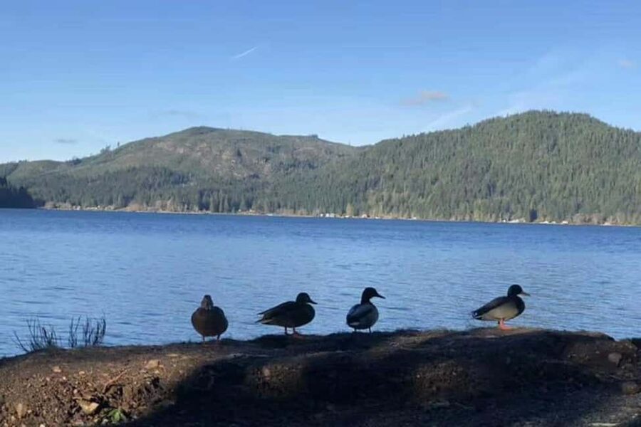 Olympic National Park Small Group Day Tour w/ State Ferries - Key Points You’ll Care About