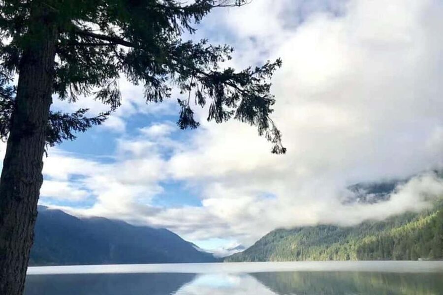 Olympic National Park Small Group Day Tour w/ State Ferries - From Seattle to Olympic: The Day-Tour Advantage