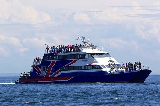 Only Wildlife and Whale Watching Tour Leaving from Seattle - Photos, Binoculars, and the Surprise About Picture Downloads