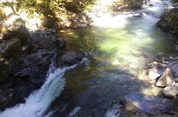 Private Cascade Mountains and Waterfalls Tour from Seattle - Leavenworth: Use the Full Two Hours for Food and Shops