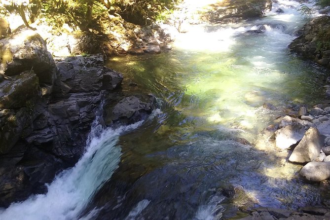 Private Cascade Mountains and Waterfalls Tour from Seattle - Franklin Falls Choice: Customize Your Last Two Hours