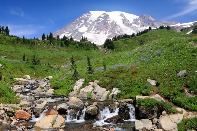 Private Mt Rainier National Park Day Trip from Seattle - Christine Falls viewpoint and the bridge-and-falls moment