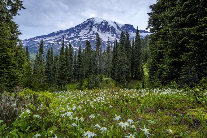 Private Mt Rainier National Park Day Trip from Seattle - Food timing and how to make the $20-per-person reality work