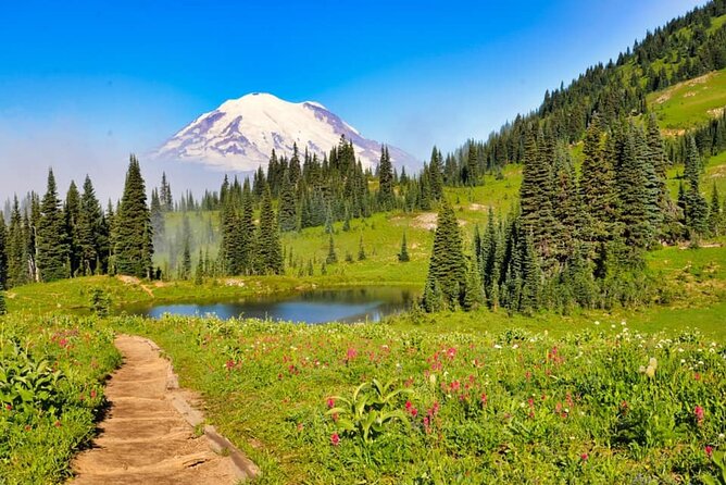 Private Mt Rainier National Park Tour in SUV - Key Things to Know Before You Go