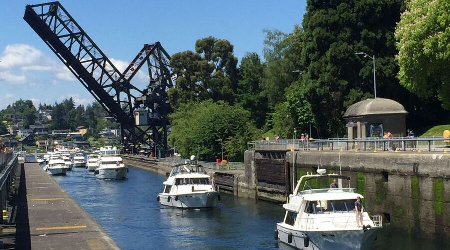 Seattle: 3-Hour City Highlights Tour - Pike Place Market: First Starbucks, Flying Fish, and Real Seattle Energy