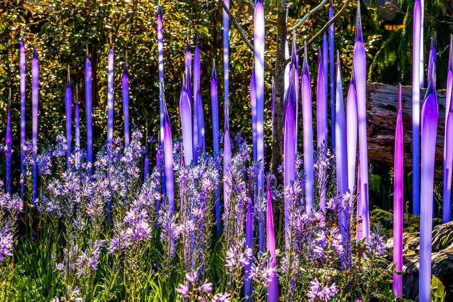 Seattle: Chihuly Garden and Glass Entry Ticket - Chihuly Garden and Glass Tickets: Seattle Center in One Great Day