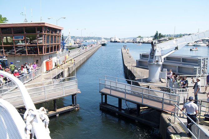 Seattle City Tour - Why this 3-hour Seattle bus tour works for first-timers