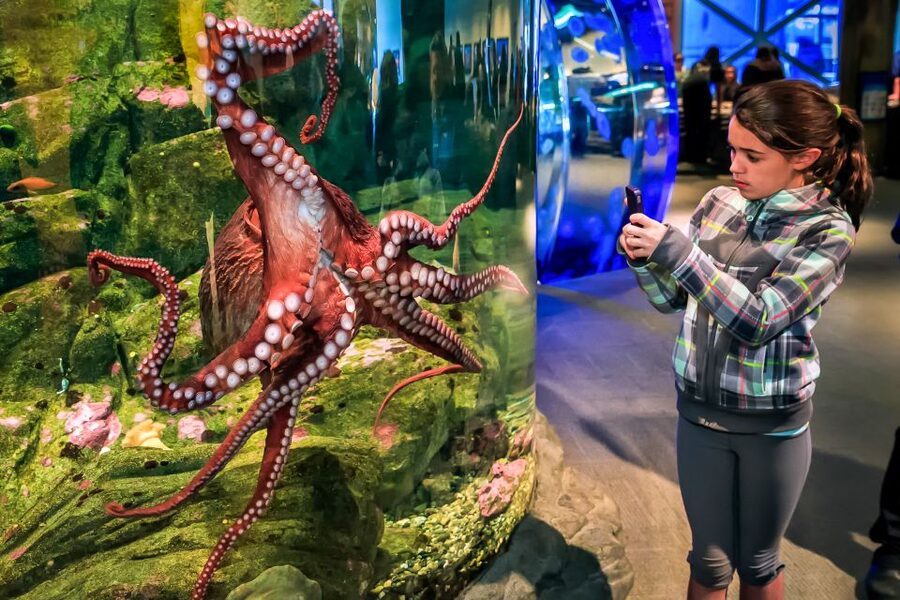 Seattle CityPASS®: Save up to 46% at 5 Top Attractions - A smart way to use your 9 days without feeling rushed