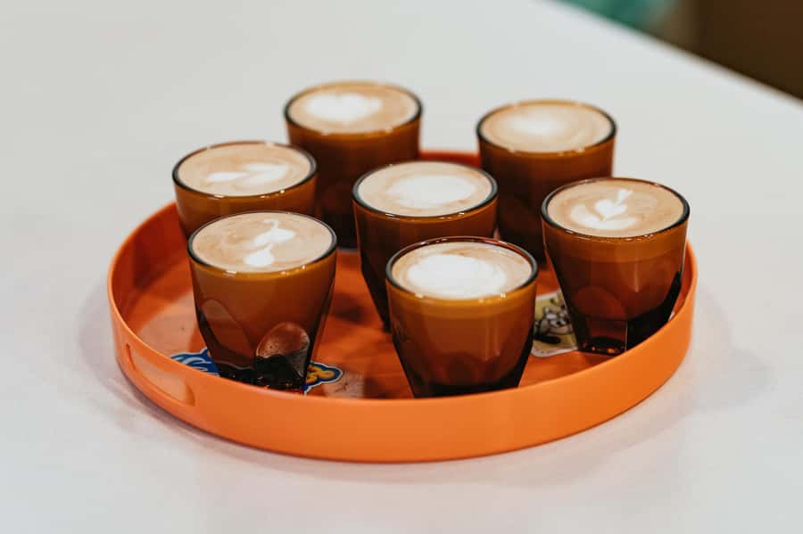 Seattle: Coffee Culture Walking Tour - Coffee stops on Capitol Hill: the tastings you’re really there for