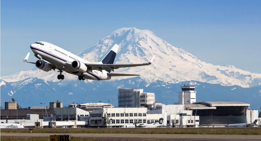 Seattle: Cruise Port City Sightseeing Tour - Seattle in a hurry: what a 3-hour cruise tour really delivers