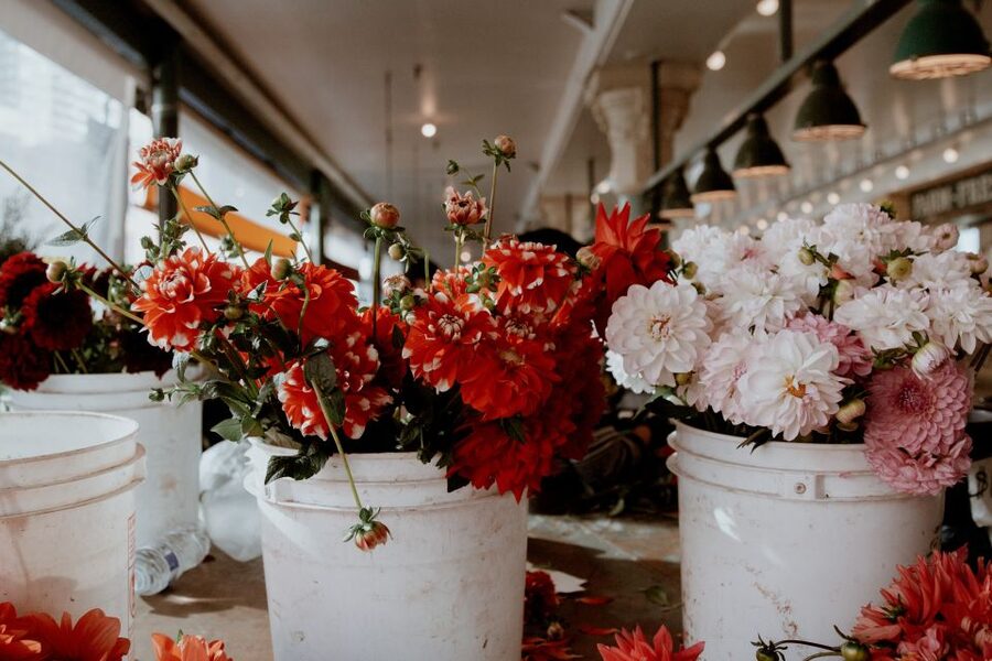 Seattle: Early-Bird Tasting Tour of Pike Place Market - How the 2-Hour Format Works in Real Life