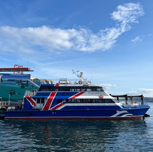 Seattle: Half-Day Wildlife and Whale Watching Cruise - Boat Size, Viewing Rules, and Where to Stand or Sit