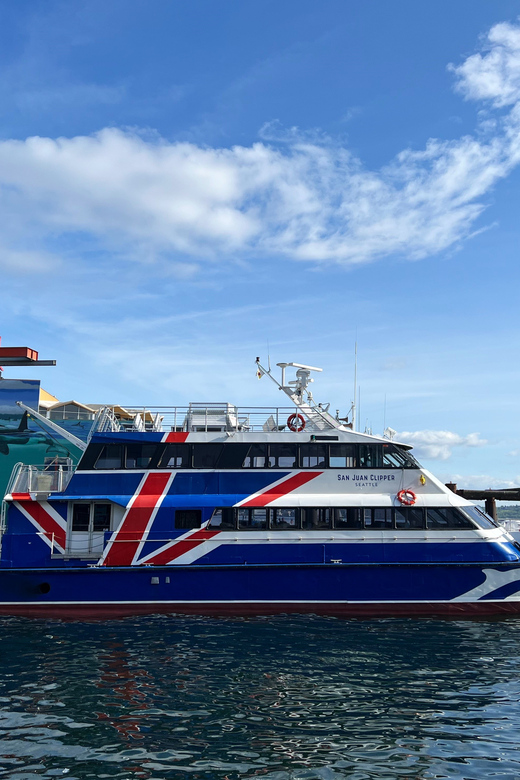 Seattle: Half-Day Wildlife and Whale Watching Cruise - Salish Sea Wildlife: What You Might See (and What It Feels Like)
