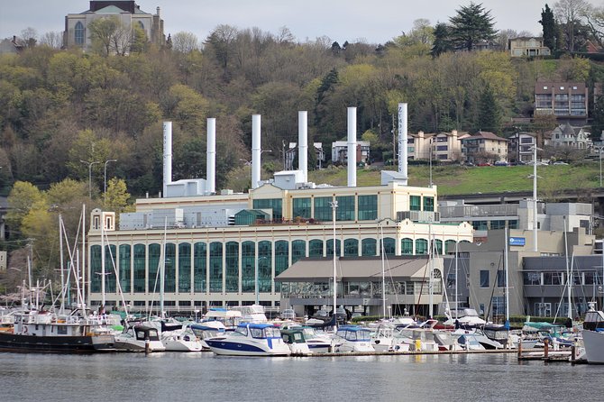 Seattle Locks Cruise - The Ship Canal Stretch: Wildlife Chances and Mountain Views