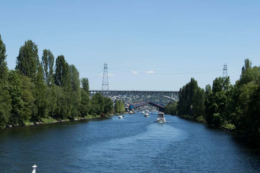 Seattle: Locks Cruise with Local Guide - Live Guides and the Stories That Stick