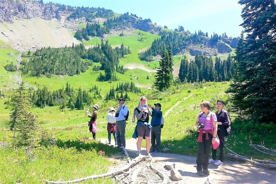 Seattle: Mount Rainier Park All-Inclusive Small Group Tour - Lunch: A Proper Meal, Not a Sandwich Panic