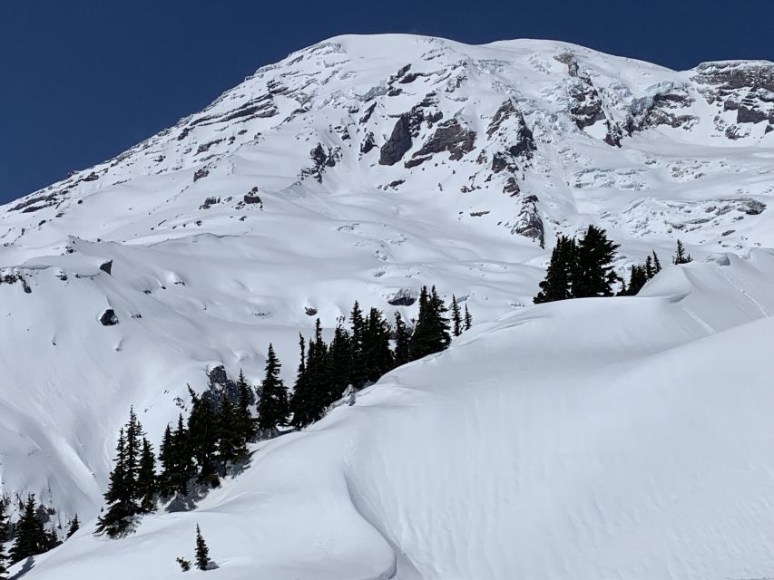 Seattle: Mt. Rainier Park Guided Full-Day Tour - Glaciers, waterfalls, rivers, and old-growth trees you can actually feel