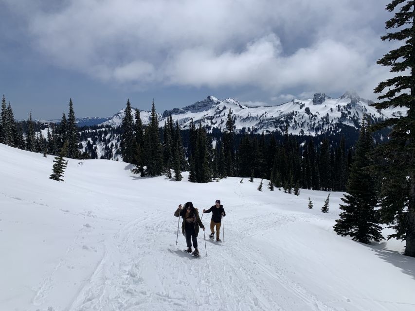 Seattle: Mt. Rainier Park Guided Full-Day Tour - Winter reality check: snow, crampons, and where the route can change