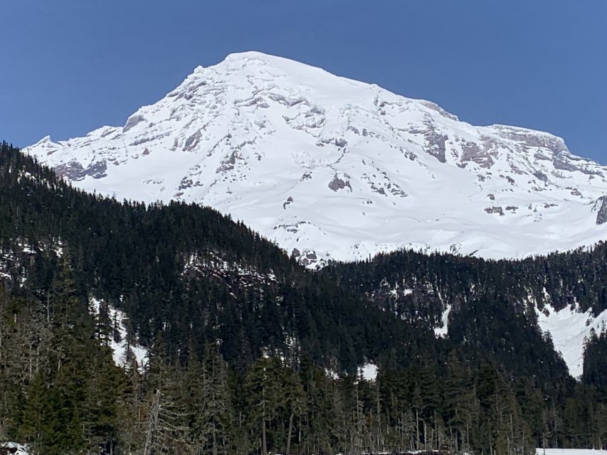 Seattle: Mt. Rainier Park Guided Full-Day Tour - Who this Mt. Rainier guided tour suits best (and who should skip it)