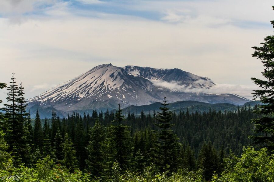 Seattle: Mt. St. Helens National Monument Small Group Tour - Science and Learning Center at Coldwater Lake: views plus a bit of retail time