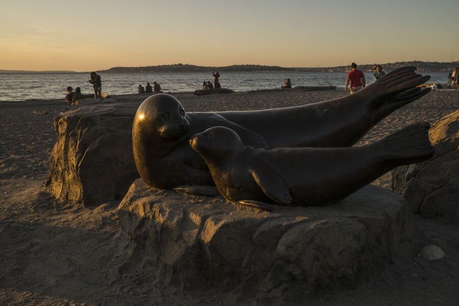 Seattle: Night Tour with Local Guide - Downtown to Waterfront: Quick Pull-Offs That Set the Tone