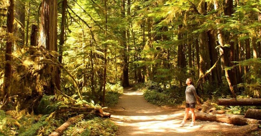 Seattle: Olympic National Park Small-Group Tour - Key things I’d mark on your mental map