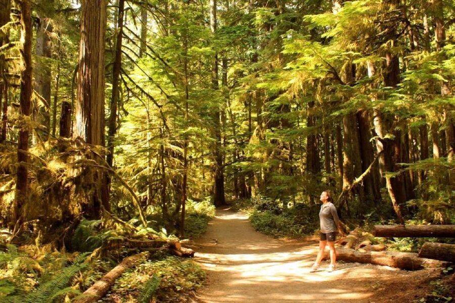 Seattle: Olympic National Park Small-Group Tour - Olympic National Park in one 12-hour sweep from Seattle