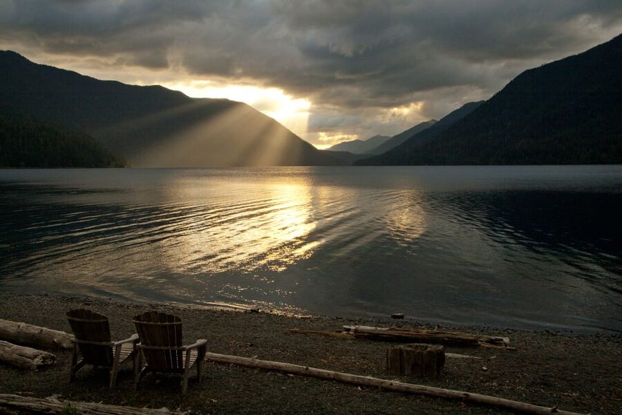 Seattle: Olympic National Park Small-Group Tour - Old-growth forest walks and misty waterfall moments