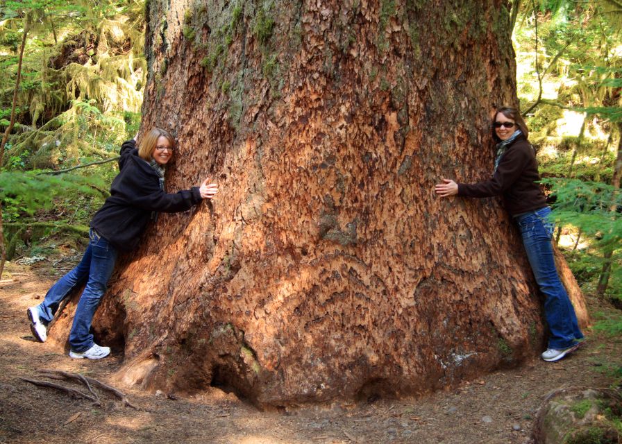 Seattle: Olympic National Park Small-Group Tour - Hurricane Ridge: 360-degree summit views and wildlife-meadow scanning