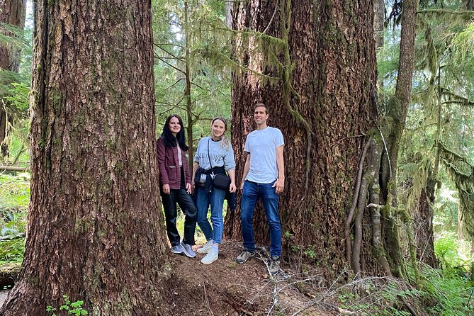 Seattle: Rainforest, Beach, and Olympic National Park Highlights - Quinault Rain Forest: old-growth walking with big “wow” energy