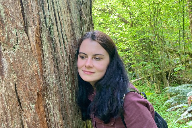 Seattle: Rainforest, Beach, and Olympic National Park Highlights - Hoh Rain Forest and the Hall of Mosses: the signature walk