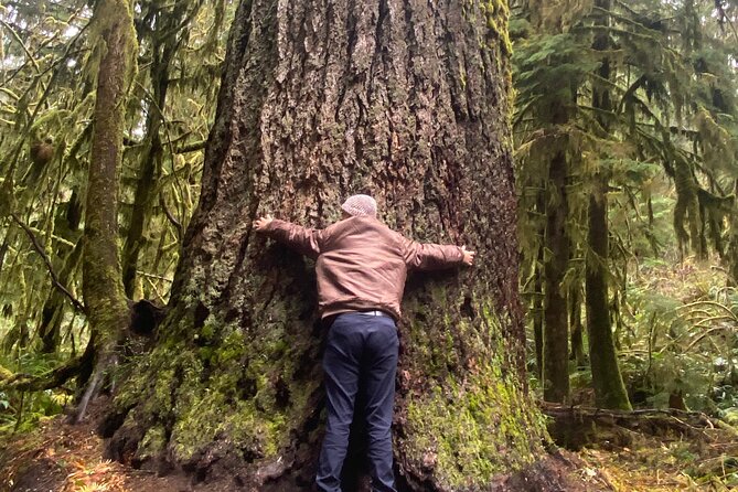 Seattle: Rainforest, Beach, and Olympic National Park Highlights - Aberdeen stop: art, coffee, and a Nirvana detour if you want it