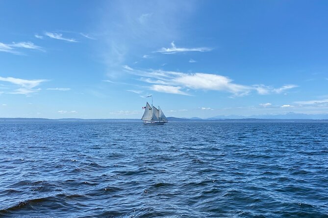 Seattle Sailing Harbor Tour - Price and value: $39 for a tall ship experience