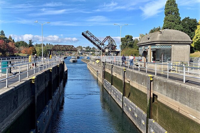 Seattle Scenic Panoramic Tour - Ballard Locks: where the tour turns from skyline to real Seattle work
