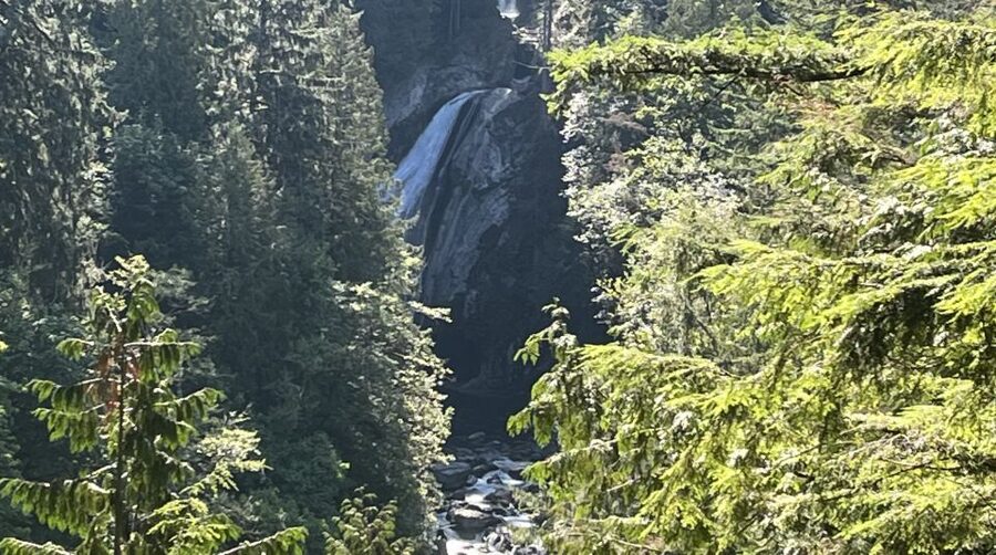 Seattle: Snoqualmie Falls and Twin Falls Guided Tour - Snoqualmie Falls: The Power Show and the Rainforest Lesson