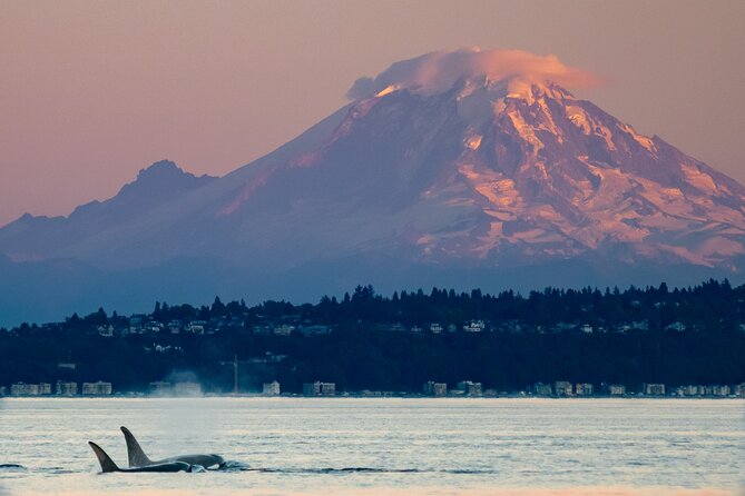 Seattle Sunset Sail BYOB - What the 2-Hour Route Looks Like from the Water