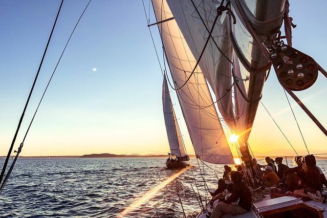Seattle Sunset Sail BYOB - What You Might See Besides the Landmarks (Yes, Wildlife Can Show Up)