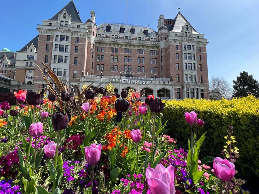 Seattle: Victoria, BC Round-Trip Ferry Tour - A simple walking game plan for downtown Victoria