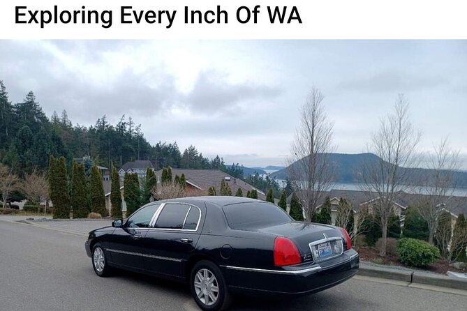 Seattle, WA Hourly Rental Around Town & Sightseeing - Timing help for cruise days and SeaTac flights
