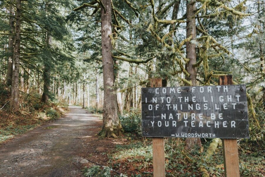 Seattle: Waterfall Wonderland Hike in Wallace Falls Park - A guided day in a small group: pace, safety, and learning