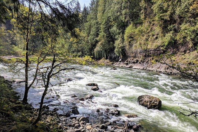Seattle Wine and Waterfall Luxury Small-Group Day Tour with Lunch - Snoqualmie Falls: the big 261-foot moment, plus a nature option
