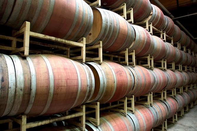 Seattle Wine & Snoqualmie Falls Highlights Tour - Chateau Ste. Michelle: big name, photo-friendly grounds