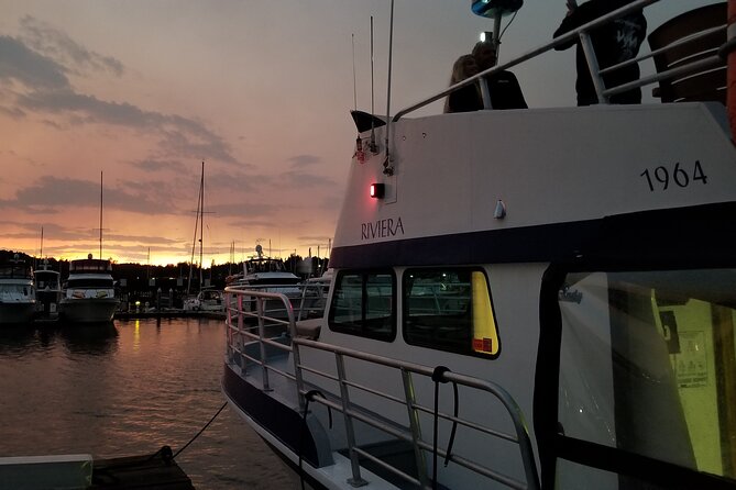 Shared 2 Hour September Sunset Cruise from Gig Harbor - Wildlife spotting: how to make the most of your two hours