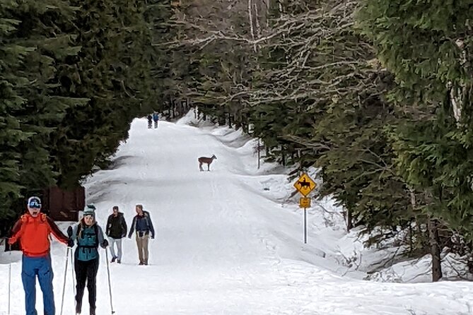 Shuttle to Snoqualmie Pass Ski and Snowboard - Onboard Comfort: Snacks, Water, and Charging Help