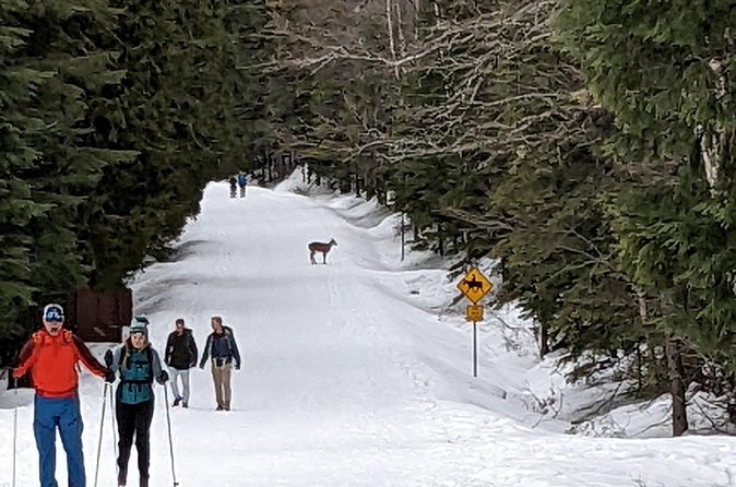 Shuttle to Snoqualmie Pass Ski and Snowboard - Practical Tips So Your Day Runs Smooth