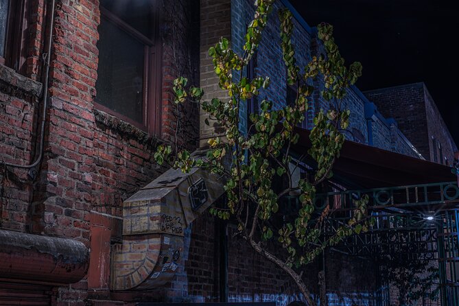 Sinister Sins, Scandal, and Shadows: Seattle Ghost Tour - Seattle’s first cemetery site: a building above disturbed ground