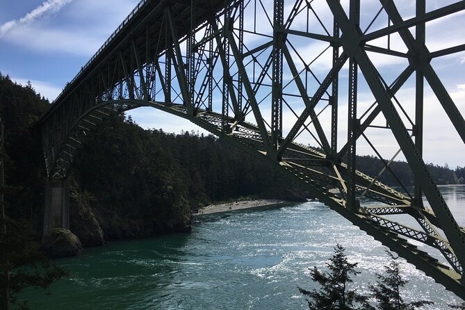 Skagit Valley Birding + Deception Pass Day Tour From Seattle - Deception Pass State Park: beaches, trail time, and the 180-foot bridge