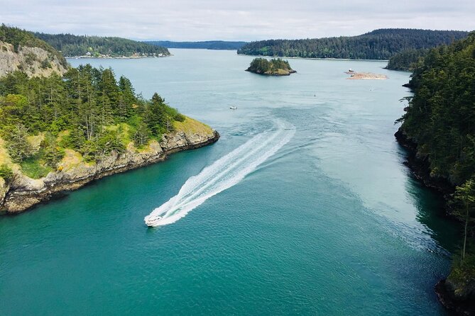 Skagit Valley Birding + Deception Pass Day Tour From Seattle - Deception Pass State Park: beaches, trail time, and the 180-foot bridge