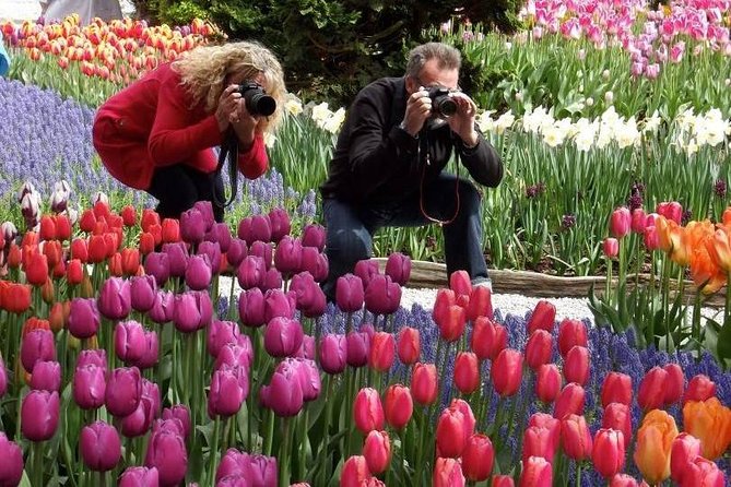 Skagit Valley Tulip Festival Day Tour from Seattle - Skagit Valley Tulip Festival day trip: the idea and the payoff