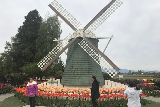 Skagit Valley Tulip Festival Day Tour from Seattle - Rain, crowds, and photo expectations: what actually matters